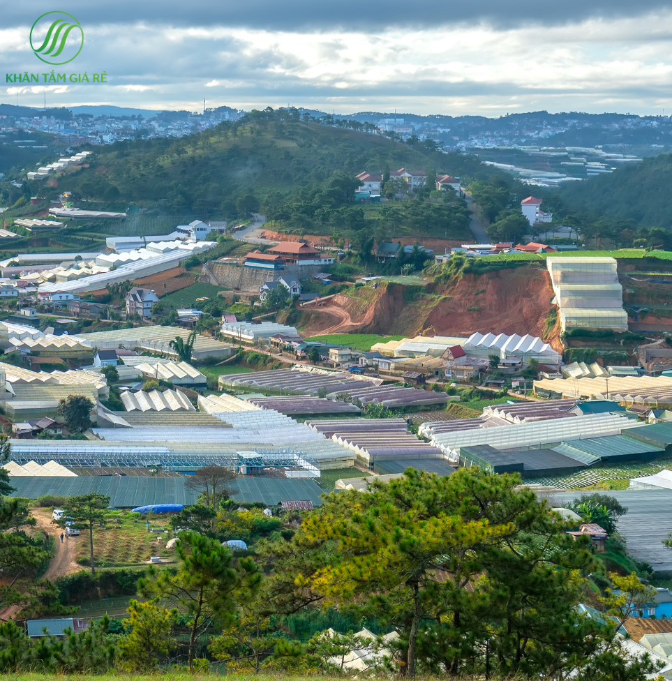 Why the guests should choose hotel when traveling in Da Lat?