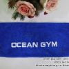 khan gym oceangym2 1